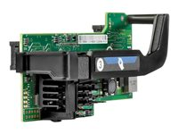 HPE 560FLB - Nätverksadapter - PCIe 2.0 x8 - 10 GigE - 2 portar - för ProLiant BL460c Gen10, BL460c Gen8 655639-B21