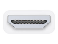 Apple - Videokort - enkel länk - HDMI (hane) till DVI-D (hona) - för Mac Pro (Late 2013); Mac Mini (Late 2018, Early 2020); MacBook Pro 15.4" (Mid 2012, Early 2013, Late 2013, Mid 2014, Early 2015, Mid 2015) MJVU2ZM/A