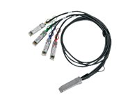 Mellanox LinkX - 100GBase direktkoppad delare - QSFP28 (hane) till QSFP28 (hona) - 1 m - SFF-8402/SFF-8665/SFF-8636/IEEE 802.3by - halogenfri, passiv MCP7F00-A001R30N