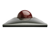 Kensington SlimBlade Trackball - Styrkula - höger- och vänsterhänta - laser/optisk - 4 knappar - kabelansluten - USB - Rubinröd, metalliskt silver K72327EU