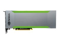 NVIDIA Quadro RTX 8000 Passive - Grafikkort - Quadro RTX 8000 - 48 GB GDDR6 - PCIe 3.0 x16 - fläktlös VCQRTX8000PAS-BSP