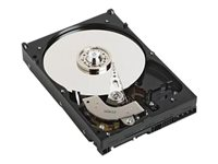 Dell - Hårddisk - 1 TB - inbyggd - 2.5" - SATA - 7200 rpm - för Inspiron 15 75XX, 17R 57XX, 17R 7720; Latitude D630; OptiPlex 50XX, 90XX; Vostro 200, 260 400-AHJG