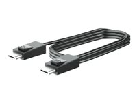HP - DisplayPort-kabel - DisplayPort (hane) till DisplayPort (hane) - 3 m - för RP9 G1 Retail System 9015, 9018, 9118 V4P97AA