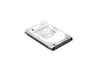 Lenovo ThinkPad - Hårddisk - 1 TB - 2.5" - SATA 6Gb/s - 5400 rpm - för ThinkPad E490; E590; L560; P50; P51; P51s; P70; P71; ThinkPad Yoga 14; 460 4XB0K48493