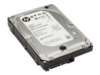 HP Enterprise - Hårddisk - 6 TB - SATA - 7200 rpm - för Workstation Z2 G4, Z2 G5 3DH90AA