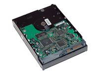 HP - Hårddisk - 2 TB - inbyggd - 3.5" - SATA 6Gb/s - 7200 rpm - buffert: 64 MB - för Workstation Z2 G4, Z220, Z230, Z4 G4, Z420, Z6 G4, Z620, Z640, Z8 G4, Z820; ZCentral 4R QB576AA