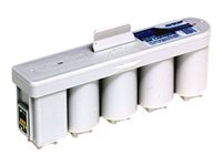 Epson - Svart, gul, cyan, magenta - original - bläcktank - för TM C100 Auto Sheet Feeder Model, C100 Roll Paper Model C33S020410