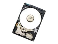 WD Endurastar J4K320 HEJ423280H9E300 - Hårddisk - 80 GB - inbyggd - 2.5" - SATA 1.5Gb/s - 4260 rpm - buffert: 8 MB 0A60319