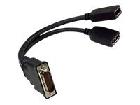 PNY - DisplayPort-adapter - DMS-59 (hane) till DisplayPort (hona) - för Quadro NVS 300 by PNY QSP-DMS59DP