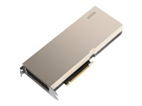 NVIDIA Tesla A100 - GPU-beräkningsprocessor - A100 Tensor Core - 40 GB HBM2 - PCIe 4.0 x16 - fläktlös TCSA100M-PB