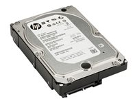 HP - Hårddisk - 4 TB - inbyggd - 3.5" - SATA 6Gb/s - 7200 rpm - buffert: 128 MB - för Workstation Z1 G2, Z2 G4, Z2 G5, Z230, Z4 G4, Z440, Z6 G4, Z640, Z8 G4, Z840; ZCentral 4R K4T76AA