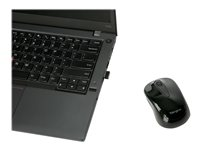 Targus - Mus - optisk - 3 knappar - trådlös - 2.4 GHz - trådlös USB-mottagare - svart AMW060EU