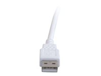 C2G - USB-förlängningskabel - USB (hane) till USB (hona) - 2 m 81571