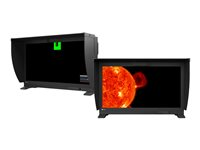 EIZO ColorEdge PROMINENCE CG3146 - LED-skärm - 31.1" CG3146