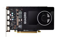 NVIDIA Quadro P2200 - Grafikkort - Quadro P2200 - 5 GB GDDR5X - PCIe 3.0 x16 - 4 x DisplayPort - detaljhandel VCQP2200-PB