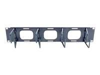 APC - Kabelhållare - svart - 2U - för NetShelter EP; NetShelter ES; NetShelter SX; Netshelter VS; Netshelter VX; NetShelter WX AR8428