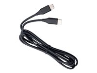 Jabra - USB-kabel - USB-C (hane) till USB-C (hane) - 1.2 m - svart 14208-32