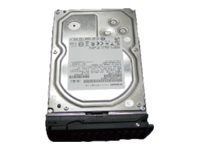 NETGEAR - Hårddisk - 8 TB - hot-swap - 3.5" - SATA 6Gb/s - 7200 rpm (paket om 20) RSAT8E20-10000S