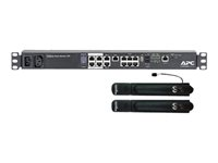 APC NetBotz Rack Monitor 250 - Miljöövervakningsenhet - 100Mb LAN - kan monteras i rack - för P/N: AR106SH4, AR106SH6, AR109SH4, AR109SH6, AR112SH4, AR112SH6, AR3106, AR3106SP NBACS125
