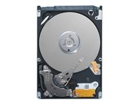 Dell - Hårddisk - 1 TB - inbyggd - 3.5" - SATA 6Gb/s - 7200 rpm - för PowerEdge R740xd (3.5"), R7425 (3.5") 400-ATJK