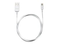 Targus - Lightning-kabel - Lightning (hane) till USB (hane) - 1 m - vit - för Apple iPad/iPhone/iPod (Lightning) ACC96101EU