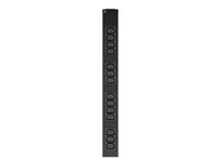 APC Basic Rack PDU - Kraftdistributionsenhet (kan monteras i rack) - AC 100-240 V - ingång: IEC 60320 C20 - utgångskontakter: 14 (IEC 60320 C13) - för P/N: AR3103SP, AR3106SP, SMT3000R2I-AR, SRT1000RMXLI, SRT1000RMXLI-NC, SRT5KRMXLW-TW AP6003A