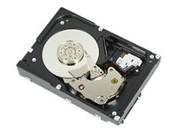 Dell - Hårddisk - 1 TB - inbyggd - 3.5" - SATA 6Gb/s - 7200 rpm - för PowerEdge T130, T30, T430; PowerEdge R230, R240, R330, R430, R630, R730, T140, T440 400-AFYB