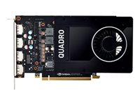 NVIDIA Quadro P2200 - Kundsats - grafikkort - Quadro P2200 - 5 GB - 4 x DisplayPort 490-BFPN