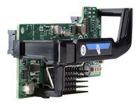 HPE FlexFabric 536FLB - Nätverksadapter - PCIe 3.0 x8 - 10Gb Ethernet x 2 - för ProLiant BL460c Gen10, BL460c Gen9, WS460c Gen9 766490-B21