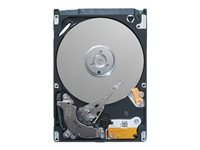 Dell - Hårddisk - 1 TB - inbyggd - 3.5" - SATA 6Gb/s - 7200 rpm - NPOS - to be sold with server only - för PowerEdge R240 (3.5"), T140 (3.5") 400-BJRV