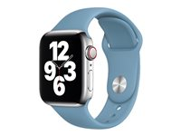 Apple 40mm Sport Band - Klockrem för smart klocka - Vanlig storlek - northern blue - demo - för Watch (38 mm, 40 mm) 3H112ZM/A