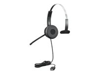 Lenovo 100 - Headset - på örat - kabelansluten - svart - för ThinkCentre M70; M75q Gen 2; M920; ThinkPad E14 Gen 2; V30a-22; V30a-24; V50t-13; V55t-15 4XD0X88524