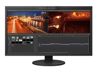 EIZO ColorEdge CG319X - LED-skärm - 31.1" CG319X-BK