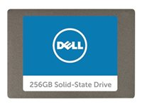 Dell - Solid state drive - 256 GB - inbyggd - SATA - för Inspiron 15 5567, 17 5767; Latitude 34XX, 7370, 7414; OptiPlex 30XX, 5480, 70XX, 90XX A9794105