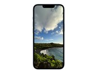 Apple iPhone 14 Plus - 5G smartphone - dual-SIM / Internminne 512 GB - OLED-skärm - 6.7" - 2778 x 1284 pixlar - 2 bakre kameror 12 MP, 12 MP - front camera 12 MP - blå MQ5G3QN/A