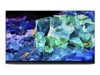 Sony Bravia Professional Displays FWD-55A95K - 55" Diagonal klass (54.6" visbar) OLED-skärm (QD-OLED) - med TV-mottagare - digital skyltning - Smart TV - Android TV - 4K UHD (2160p) 3840 x 2160 - HDR - titansvart FWD-55A95K