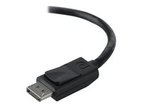 Belkin - DisplayPort-kabel - DisplayPort (hane) till DisplayPort (hane) - 3 m - sprintlåsning, stöd för 4K F2CD000BT3M