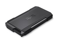SanDisk Professional PRO-BLADE TRANSPORT - SSD - 4 TB - extern (portabel) - USB 3.2 Gen 2x2 (USB-C kontakt) SDPM2NB-004T-GBAND